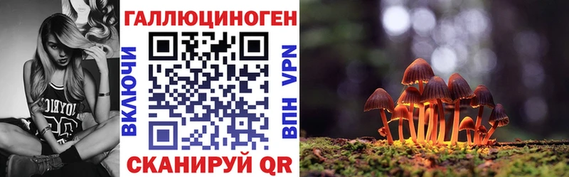 где можно купить наркотик  kraken как войти  Галлюциногенные грибы MAGIC MUSHROOMS  Туринск 